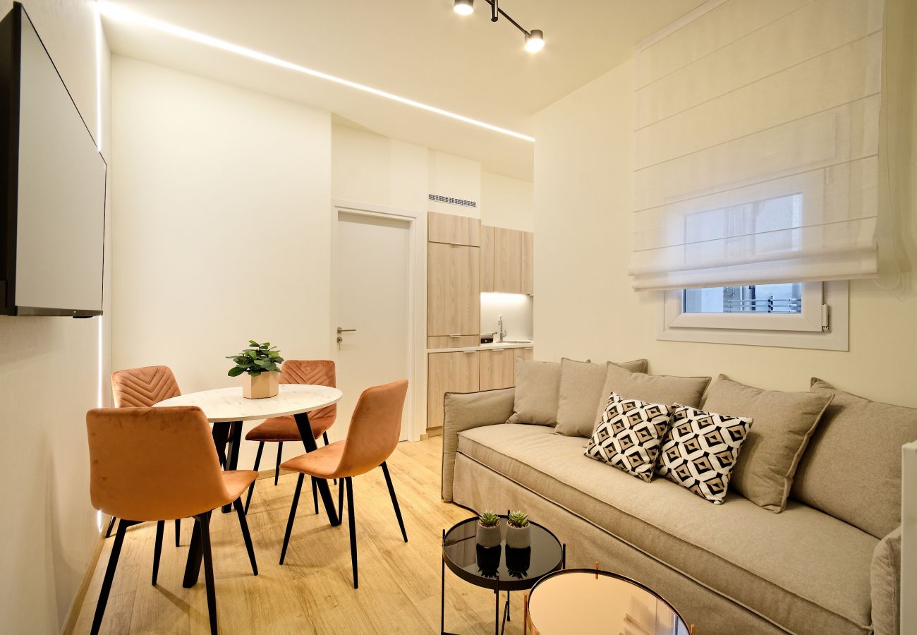 Apartment in Athens - Fully Renovated two bedroom apartment in Athens