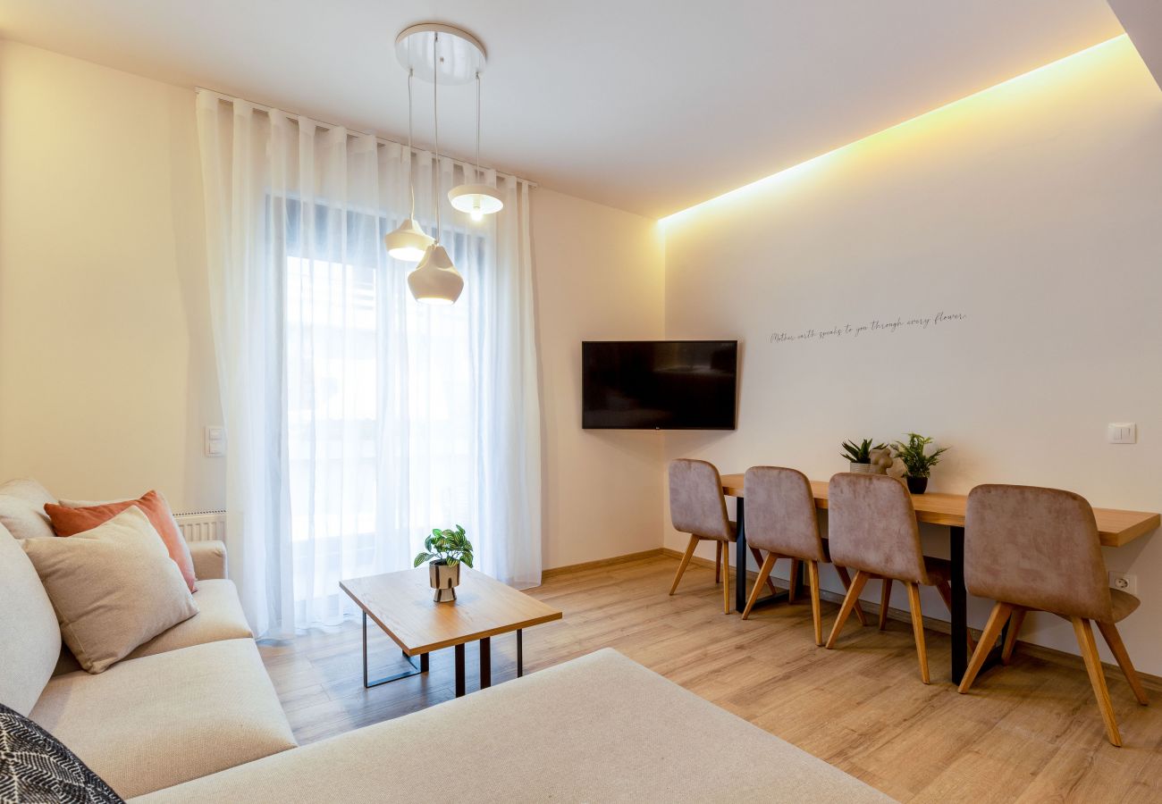 Apartment in Athens - Renovated 2 Bedroom Apartment near Filopappou Hill, Athens