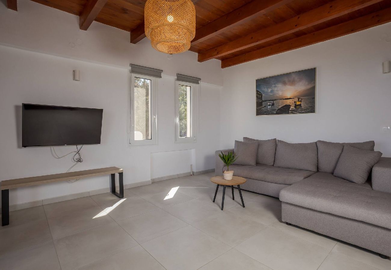 Villa in Douliana - Villa Konstantinos Hilltop Vineyard Escape 
