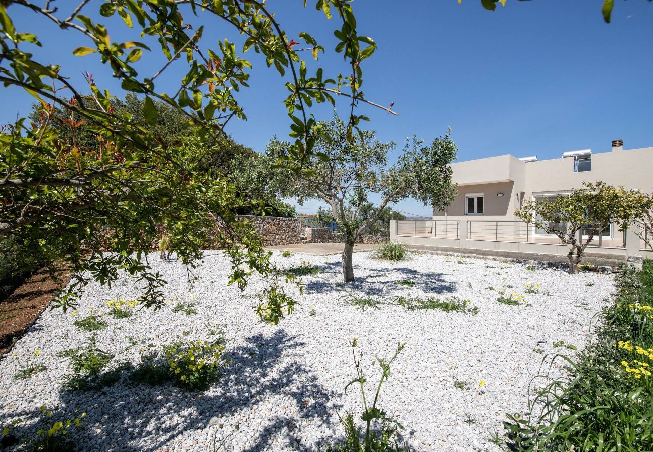 Villa in Plaka - Villa Prinos Private Pool 