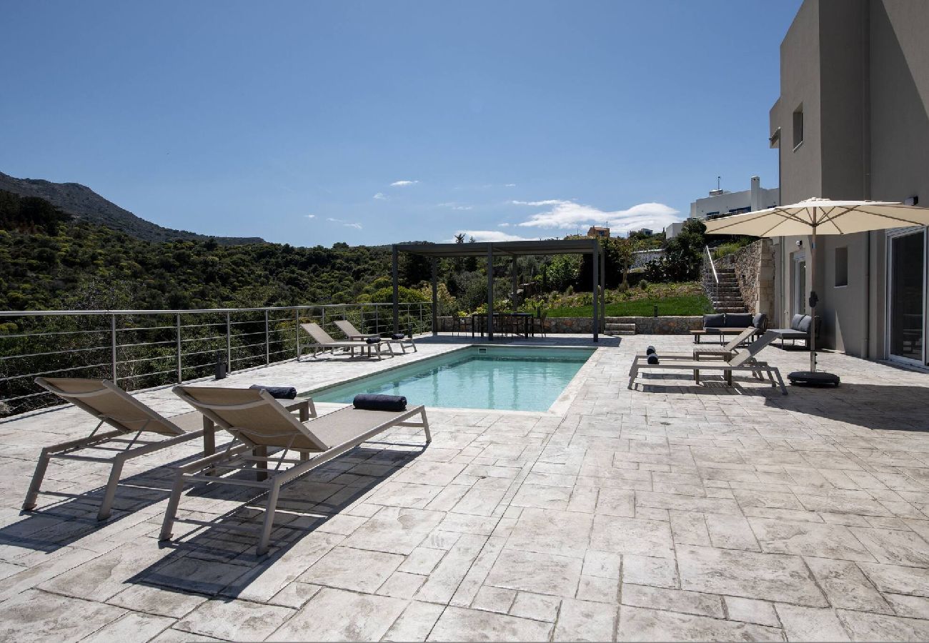 Villa in Plaka - Villa Prinos Private Pool 