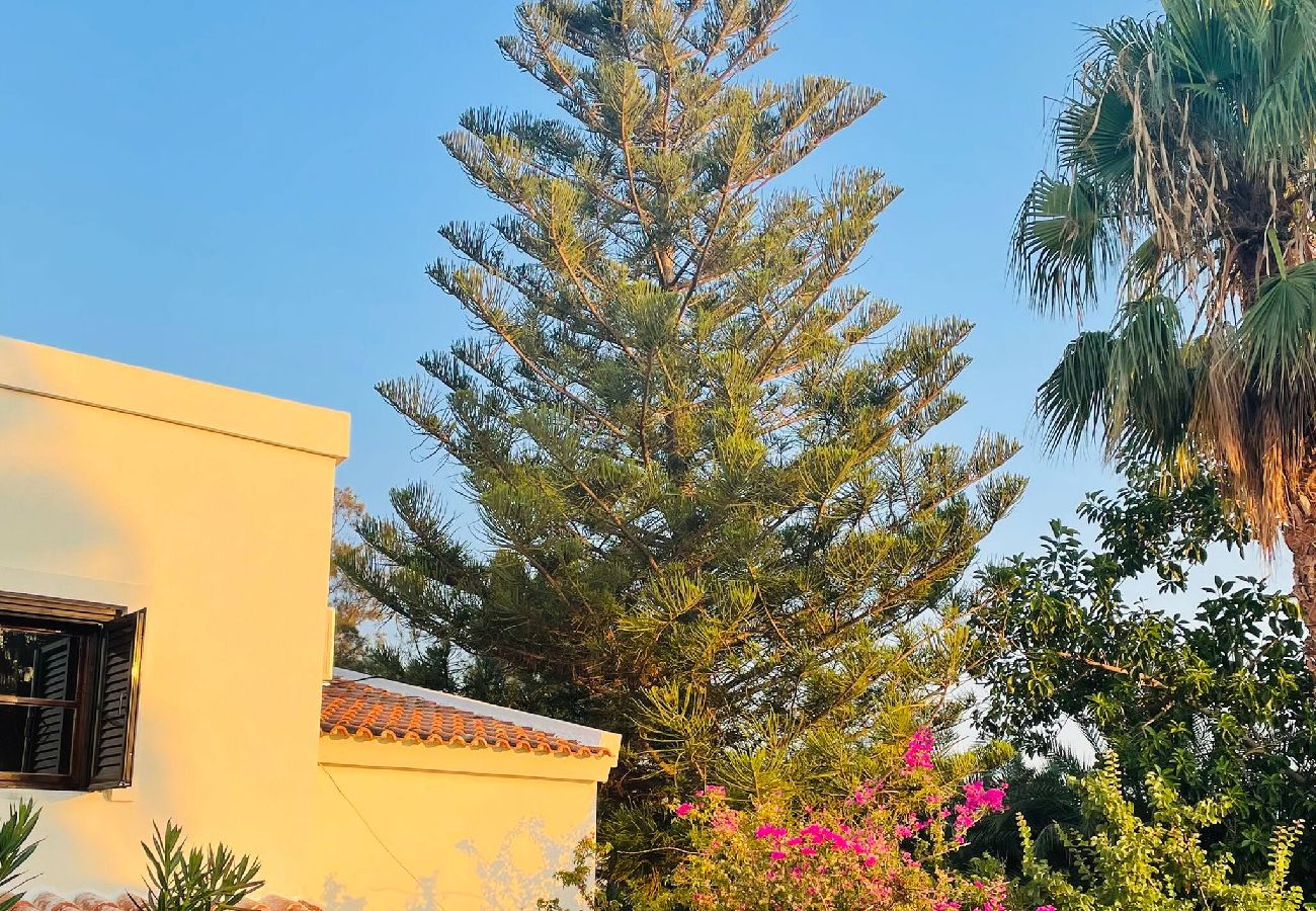 Apartment in Platanias - Apartment suite on private tranquil retreat-Unit 4 