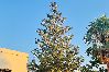 Apartment in Platanias - Apartment suite on private tranquil retreat-Unit 4 