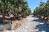 Apartment in Platanias - Apartment suite on private tranquil retreat-Unit 4 