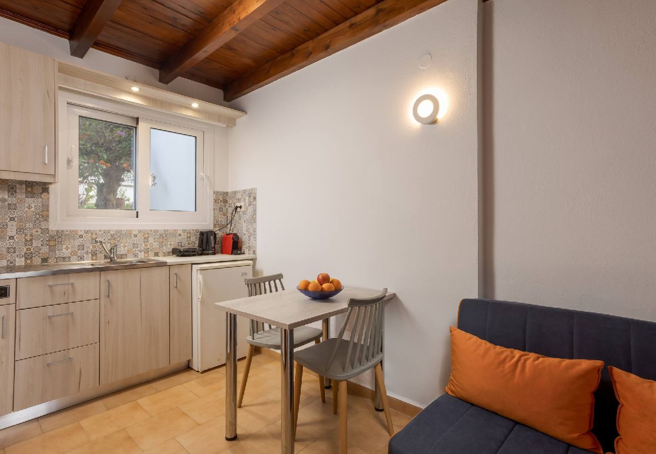 Living room with kitchenette in Xamoudochori Crete