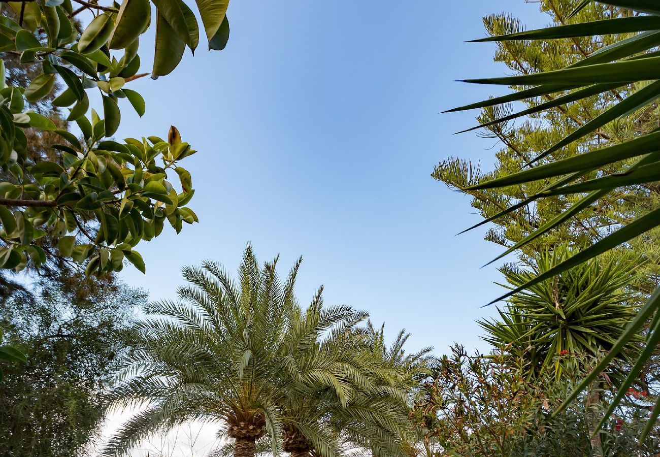 Apartment in Platanias - Apartment suite on private tranquil retreat-Unit 2 