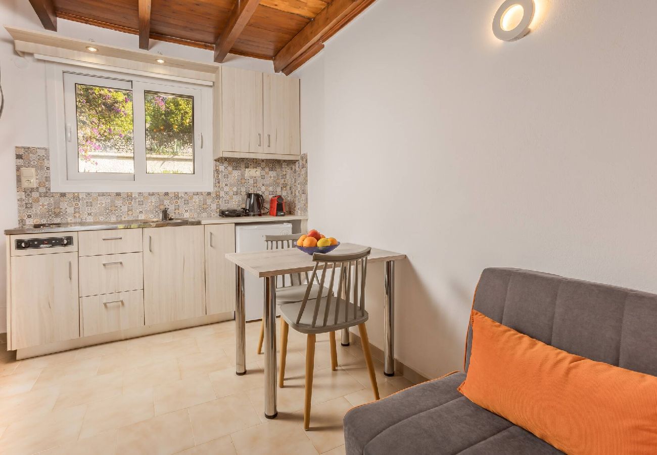 Living room with kitchenette in Xamoudochori maisonette